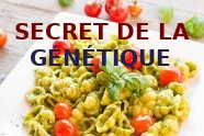 Alimentation Ventre Plat (Efficace)